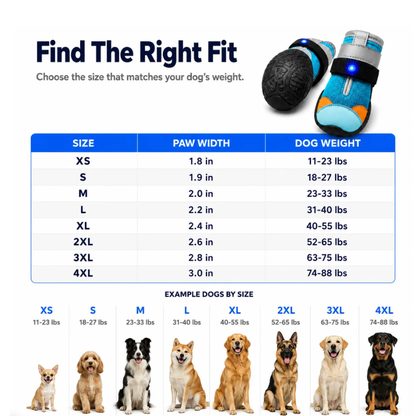 PupSteps™ : Boots Led